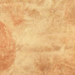 TS-203